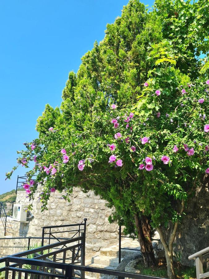 Villa Nera ブドヴァ エクステリア 写真